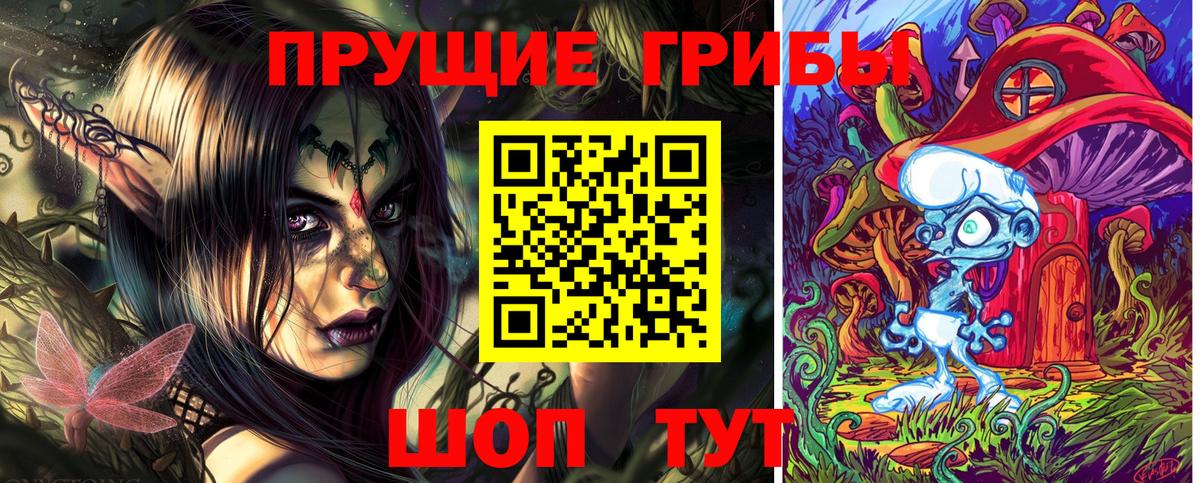 Галлюциногенные грибы Psilocybe  Галлюциногенные грибы GOLDEN TEACHER  наркошоп  Вход с VPN  Йошкар-Ола 